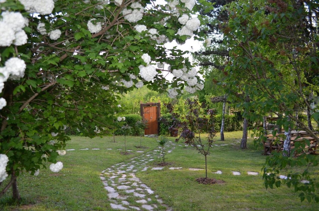 Vila Davidovic-Fruska Gora Mandelos Esterno foto