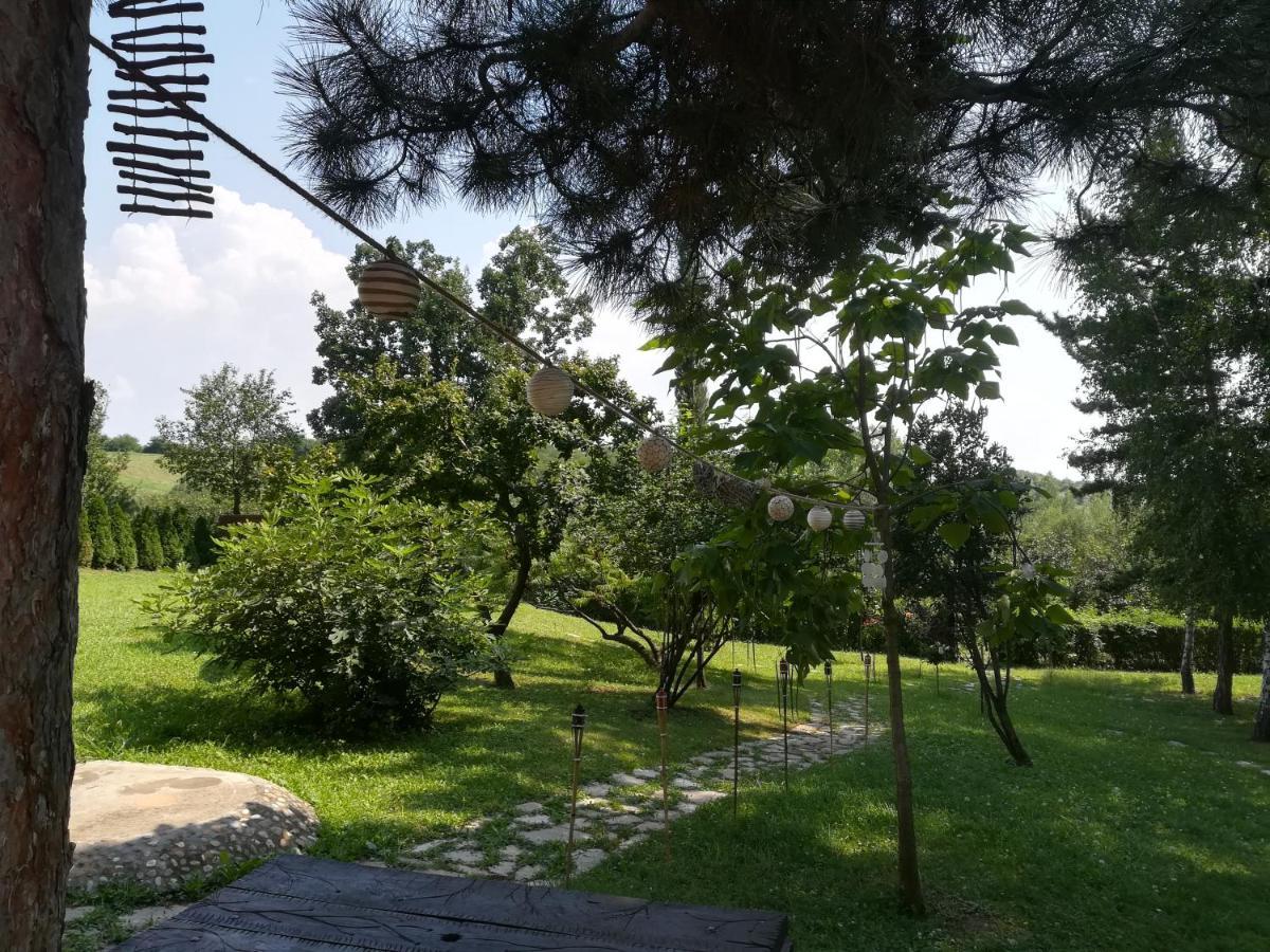 Vila Davidovic-Fruska Gora Mandelos Esterno foto