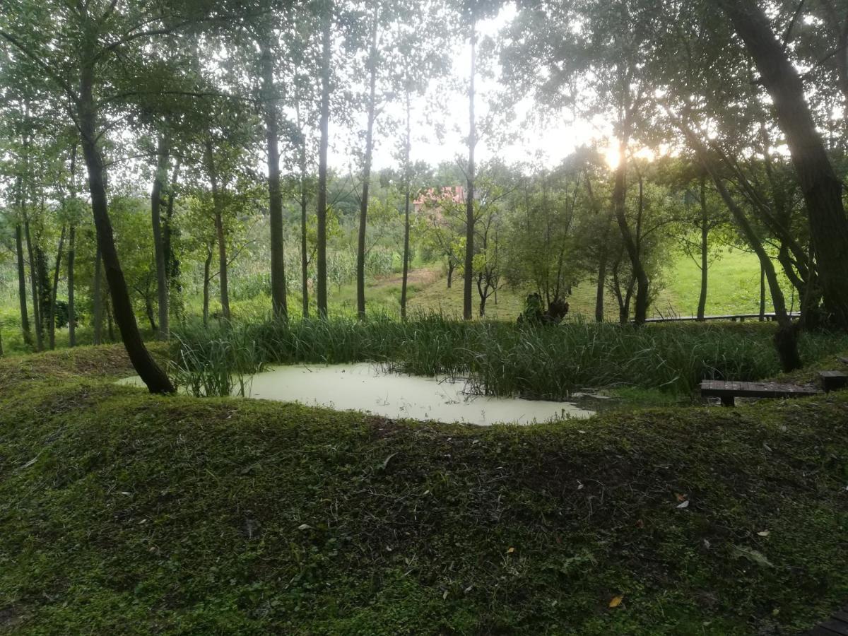 Vila Davidovic-Fruska Gora Mandelos Esterno foto