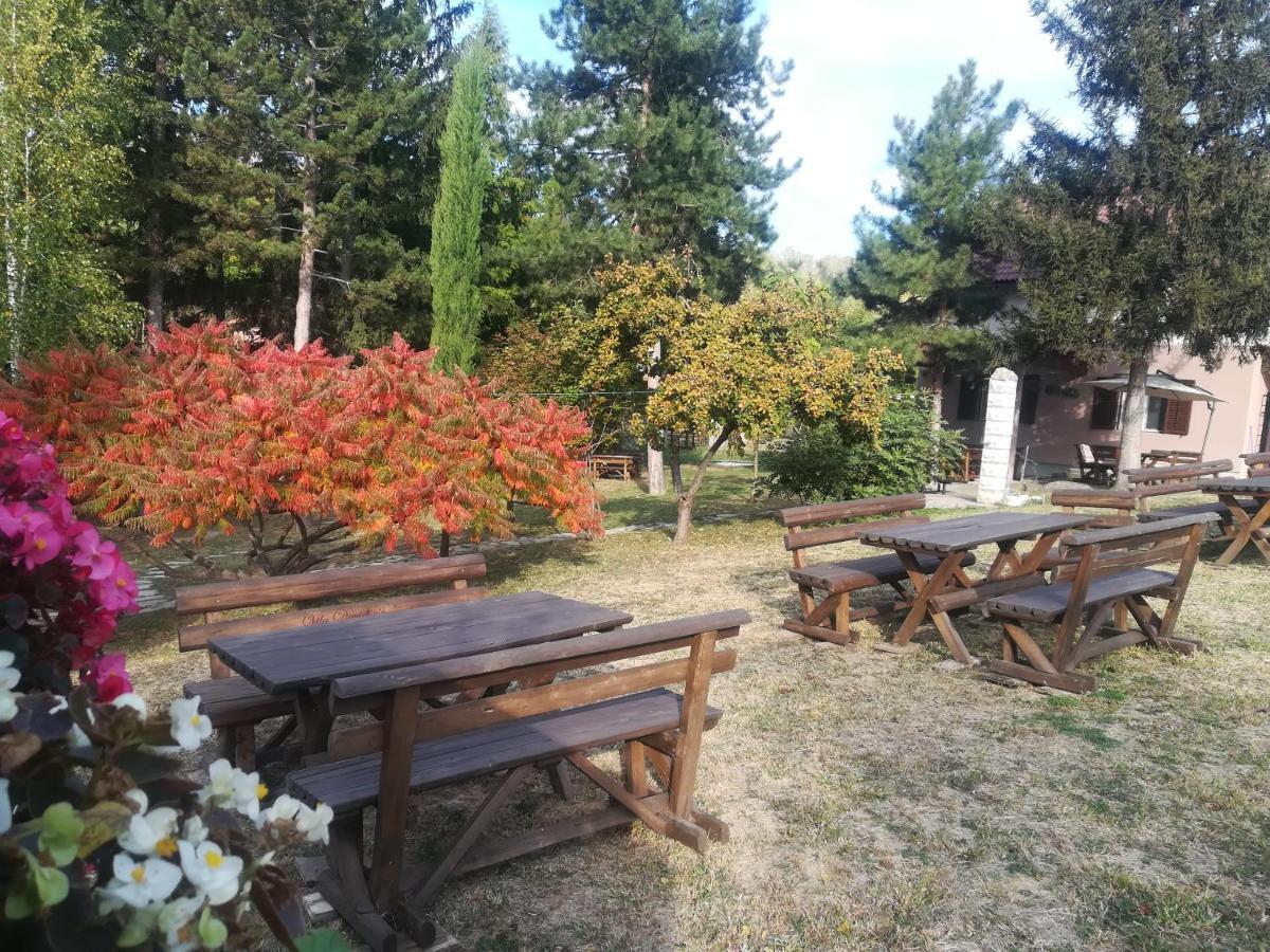 Vila Davidovic-Fruska Gora Mandelos Esterno foto