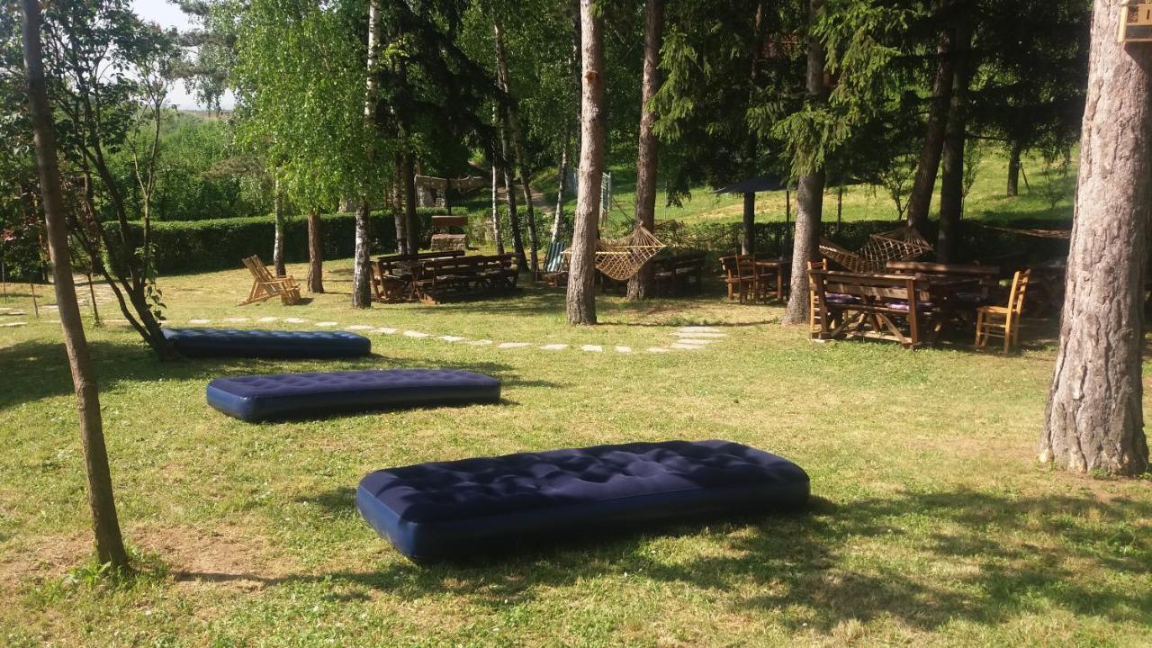 Vila Davidovic-Fruska Gora Mandelos Esterno foto