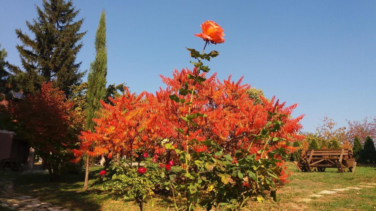 Vila Davidovic-Fruska Gora Mandelos Esterno foto