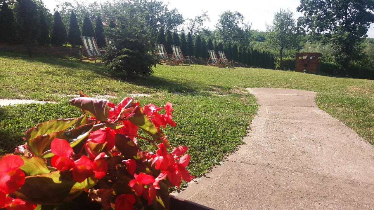Vila Davidovic-Fruska Gora Mandelos Esterno foto