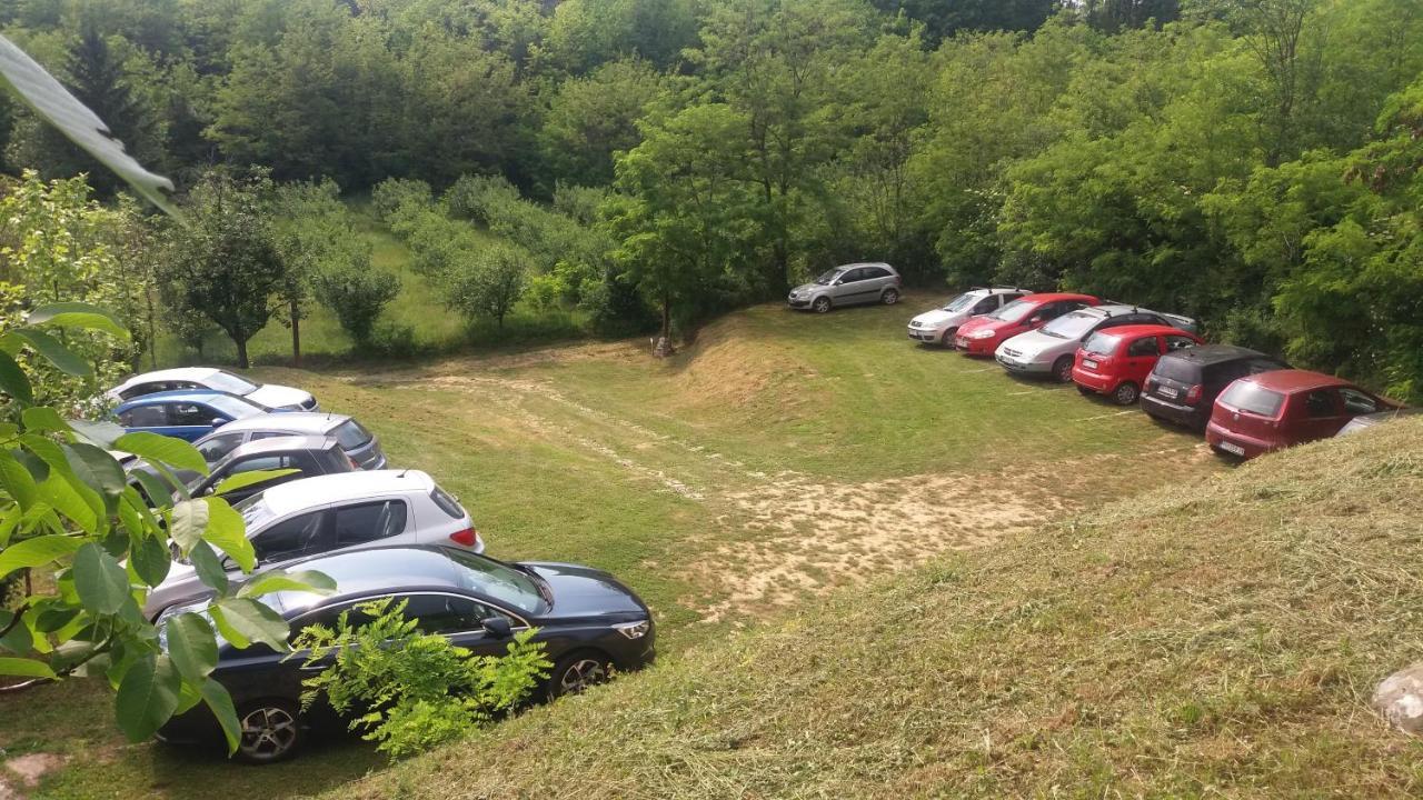 Vila Davidovic-Fruska Gora Mandelos Esterno foto