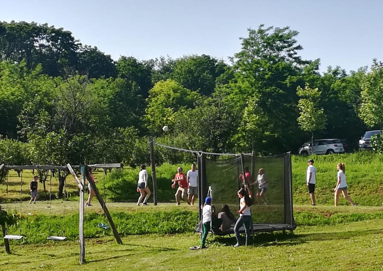 Vila Davidovic-Fruska Gora Mandelos Esterno foto