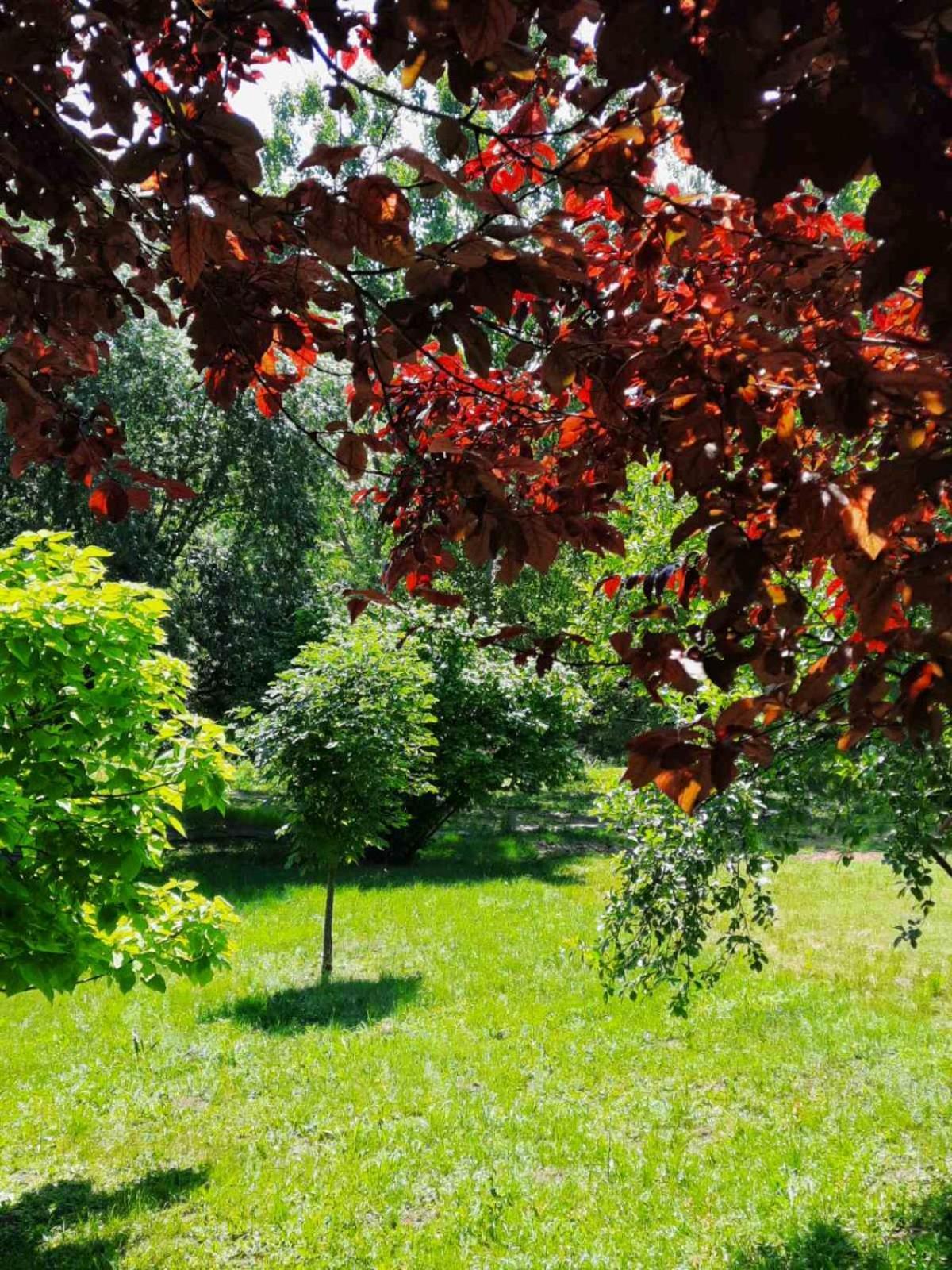 Vila Davidovic-Fruska Gora Mandelos Esterno foto