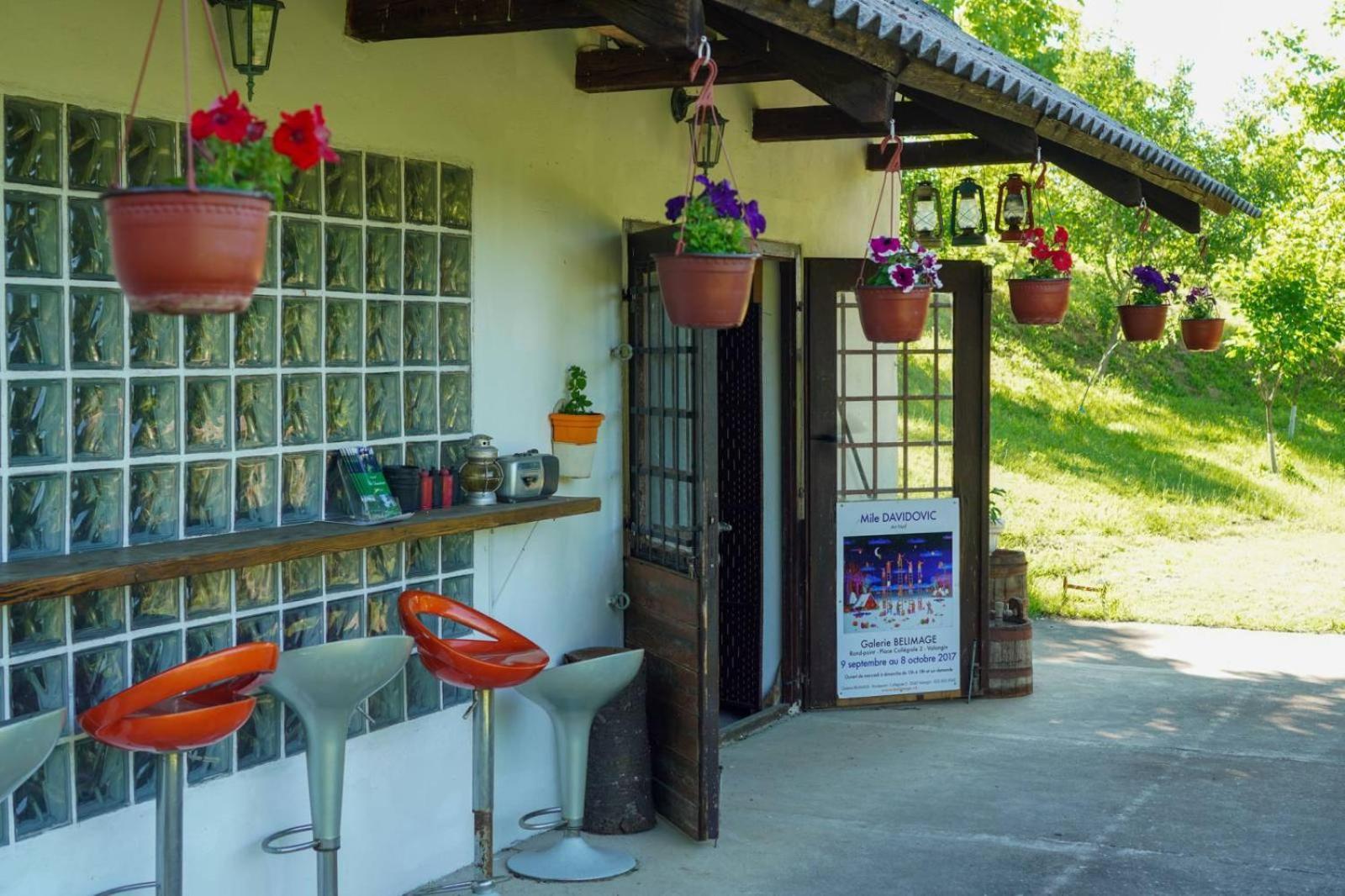 Vila Davidovic-Fruska Gora Mandelos Esterno foto