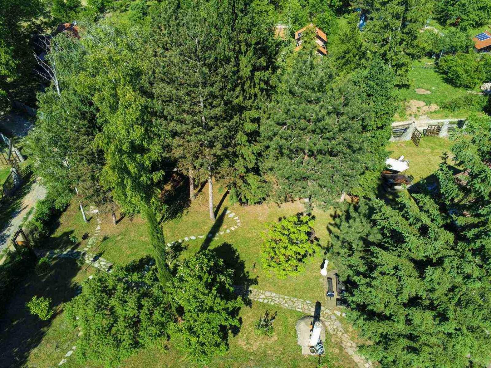 Vila Davidovic-Fruska Gora Mandelos Esterno foto