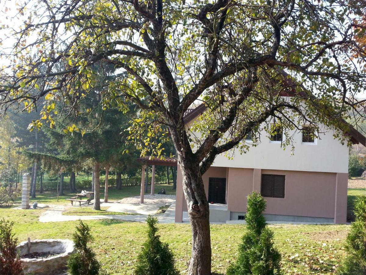 Vila Davidovic-Fruska Gora Mandelos Esterno foto