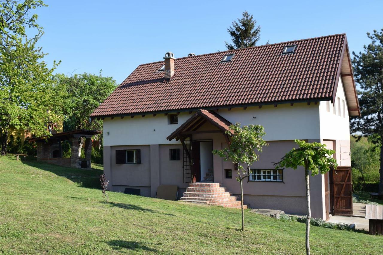 Vila Davidovic-Fruska Gora Mandelos Esterno foto